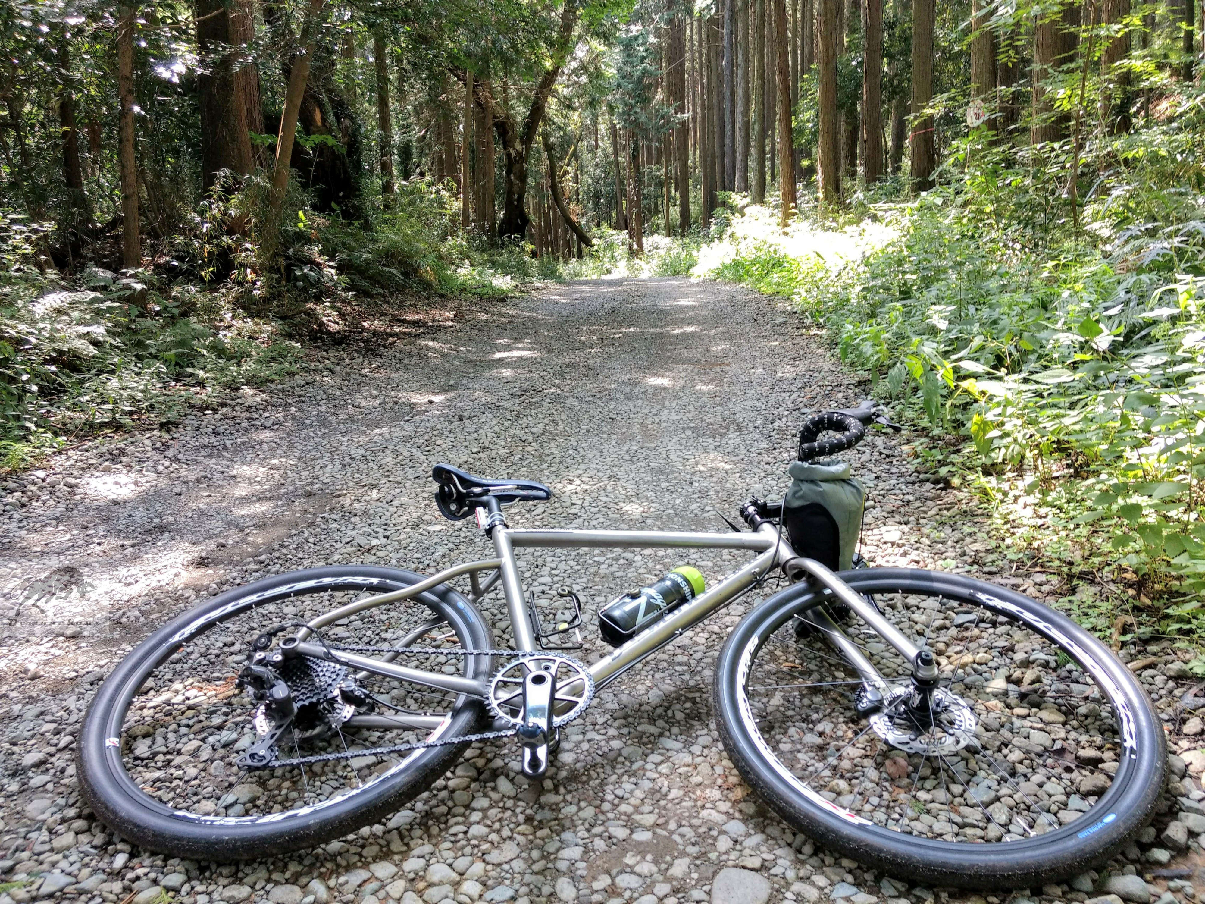 titanium bike laying on the track in the woods