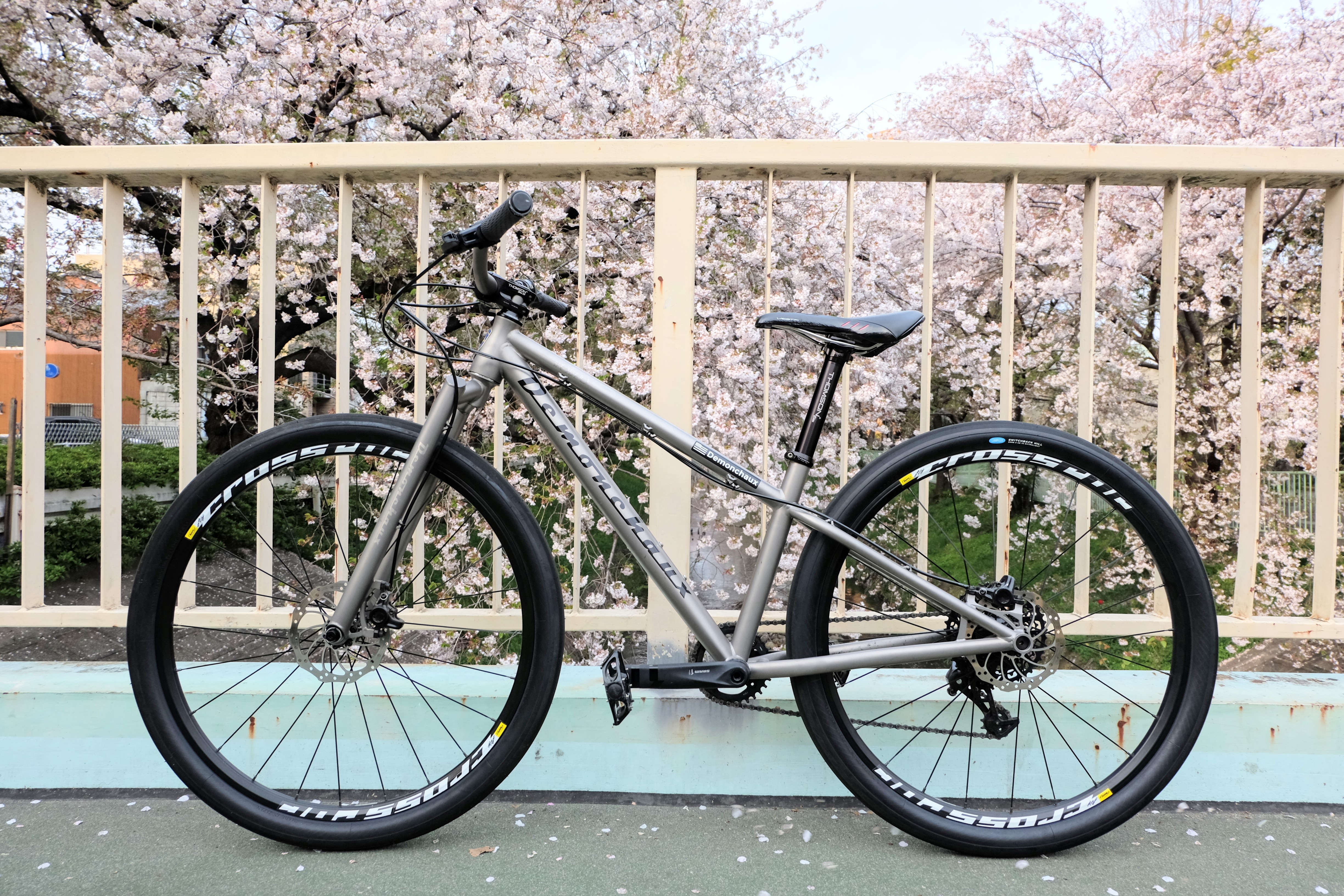 titanium MTB in front of cherry blossom tree